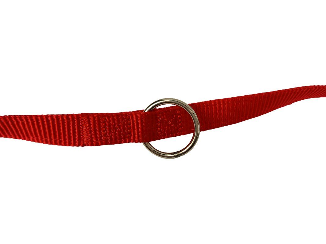 Collier et laisse: RedDingo Hundeleine rot – Neuf (Voir description) à Hünenberg par Restwert_Zug 4