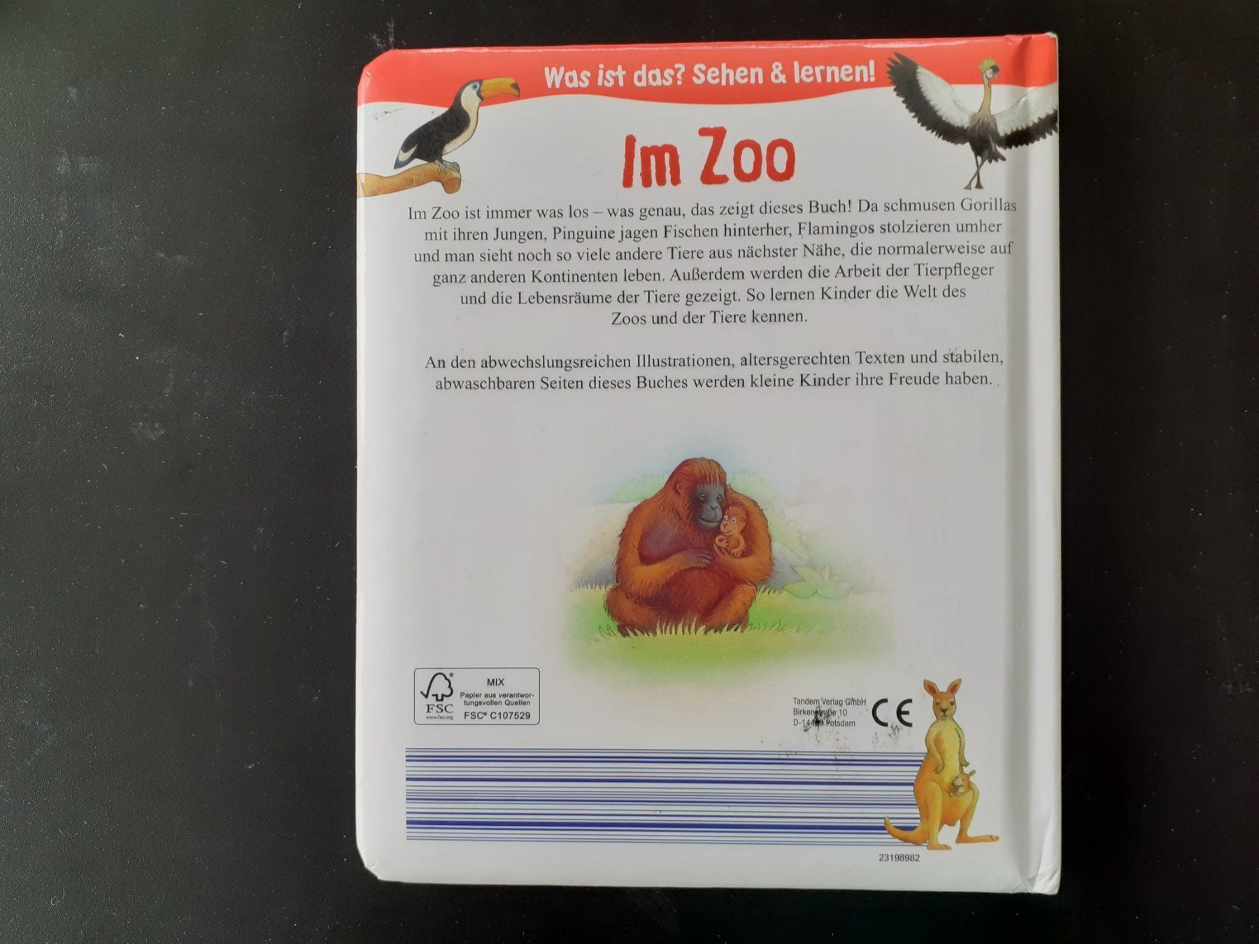 Libri: Kinderbuch Bilderbuch Im Zoo – Usato da Mörschwil venduto da lindaswunderkiste 7