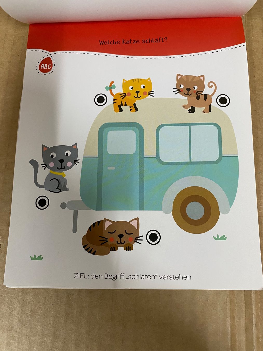 Libri: Lerne mit dem Lernkäfer +4 – Usato da Eschlikon TG venduto da RamonaSt 8