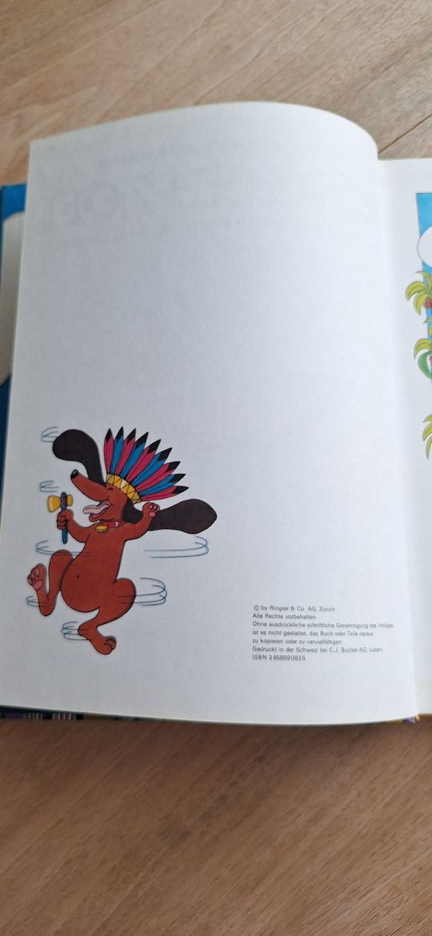 Libri: Ringgi+Zofi Buch – Nuovo (secondo la descrizione) da Bubikon venduto da Nirak8608 3