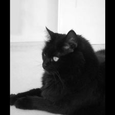 Profile image of eskimo01