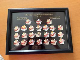 Pinsammlung Schw. Fussball-Nationalmannschaft 1994