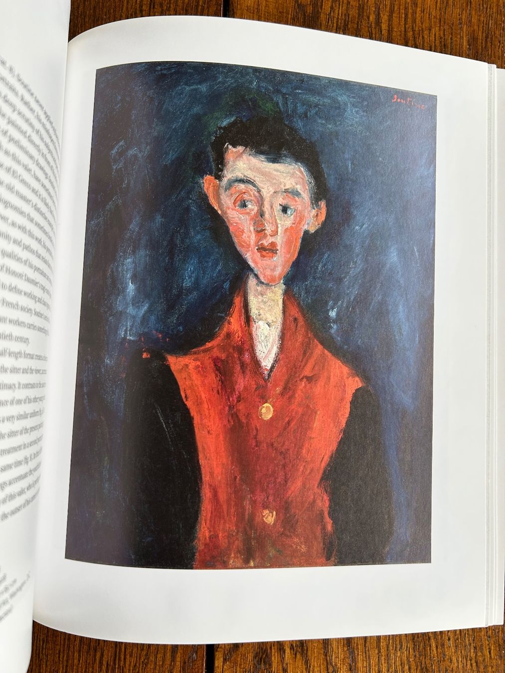 Libri: Soutine's Portraits - Cooks, Waiters & Bellboys – Usato da Basel venduto da Peter_schlemihl 8