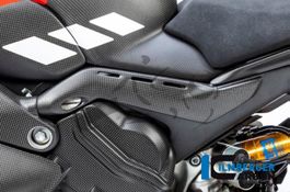 Carbon Ilmberger Abdeckung am Rahmenheck Set Ducati Panigale