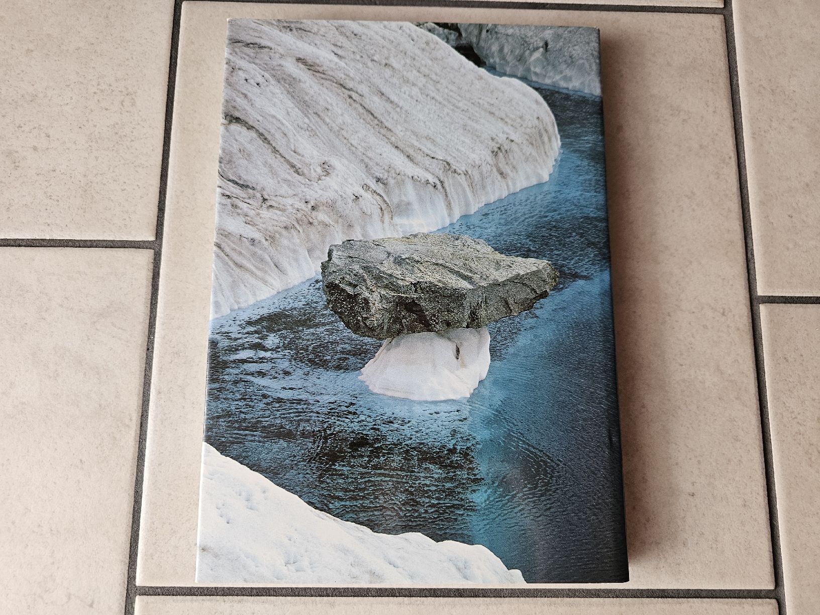 Libri: Gletscher der Schweiz  /  195 Seiten – Usato da Schneisingen venduto da backstore24 1