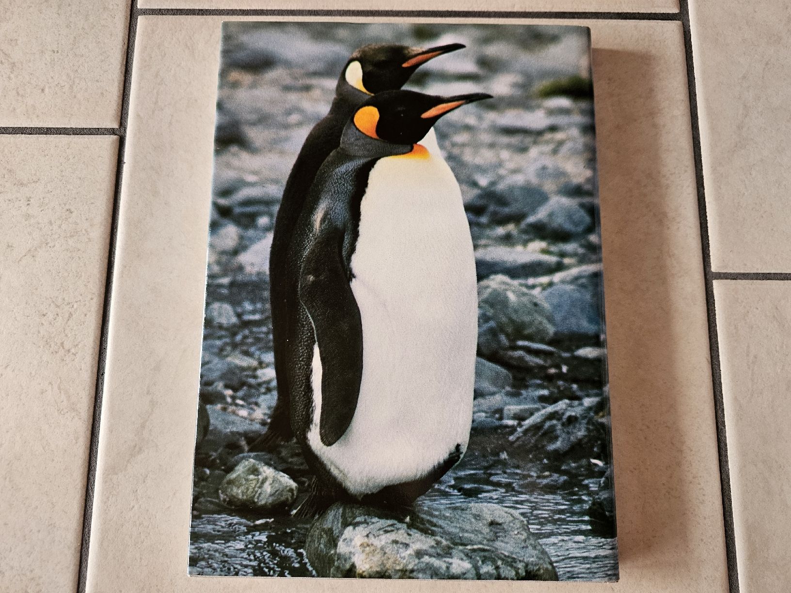 Libri: Die Antarktis  /  162 Seiten – Usato da Schneisingen venduto da backstore24 1