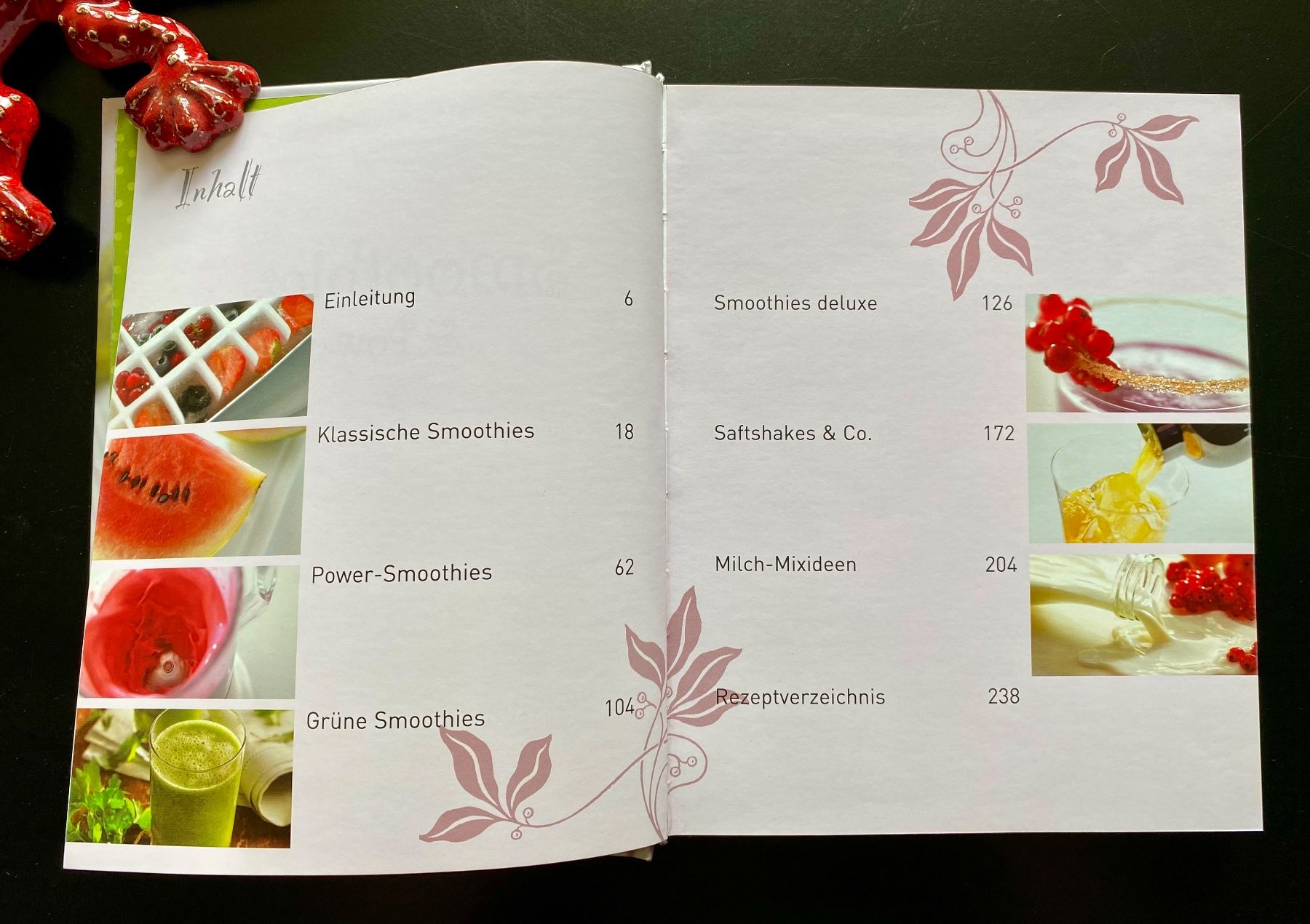 Libri: Smoothies und Powershakes – Usato da Nussbaumen AG venduto da schuba2000 3