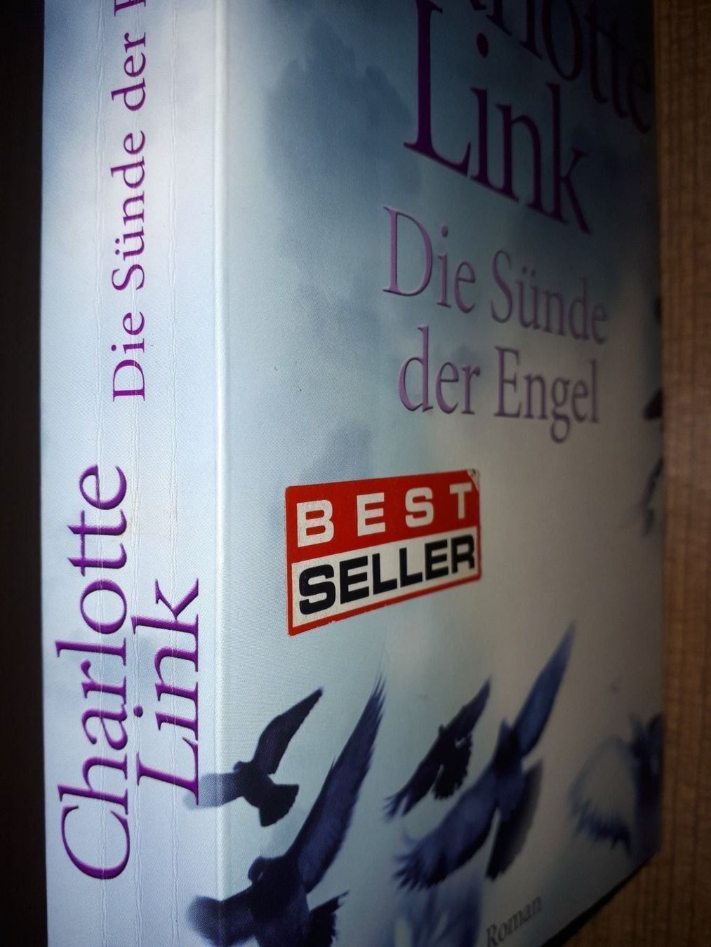 Libri: Charlotte Link Die Sünde der Engel – Usato da Basel venduto da Alacant 2