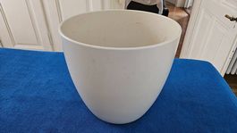 Übertopf Pflanzen 33cm