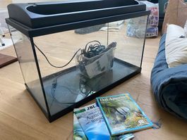 Aquarium mit Zubehör