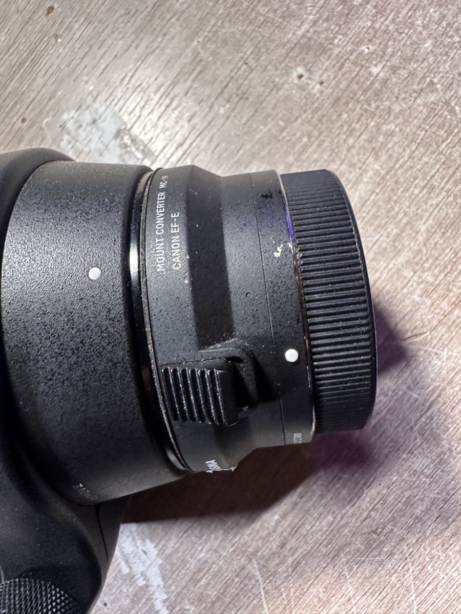 Sigma Obiettivi: Sigma 150-600 EF mit MC11 EF - sony E – Usato da Langwies venduto da nik_c2pk 1