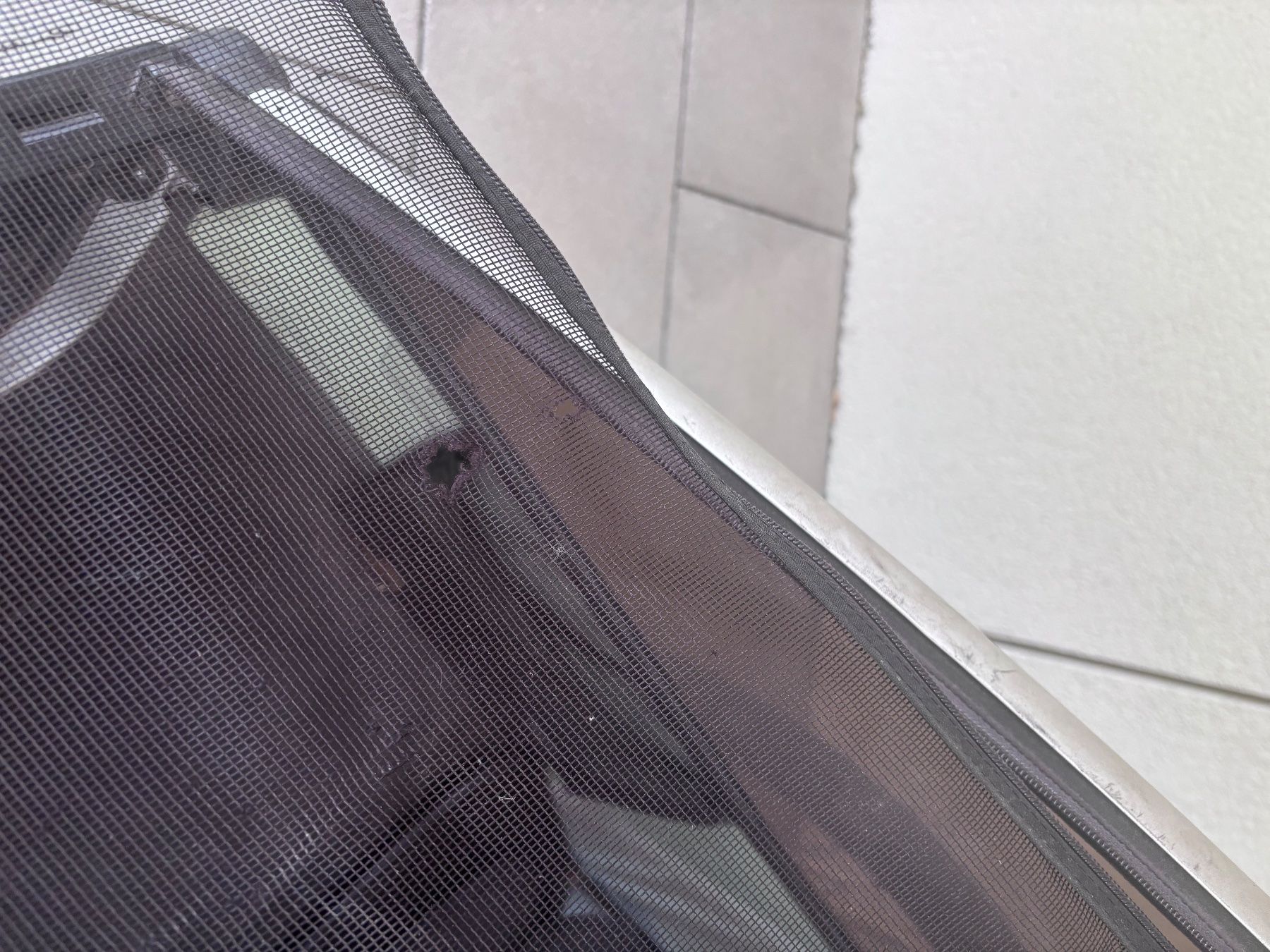 Thule Rimorchi: Thule Veloanhänger 1Sitz – Usato da St. Gallen venduto da Linari8 3