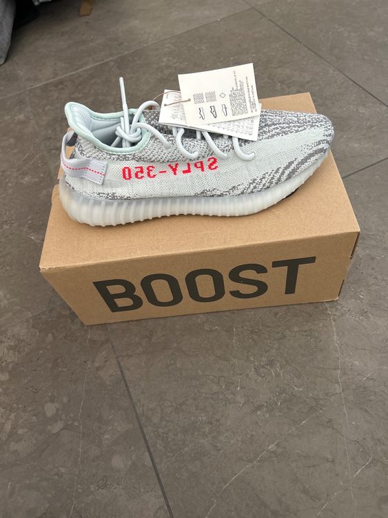 Yeezy blue best sale tint kaufen