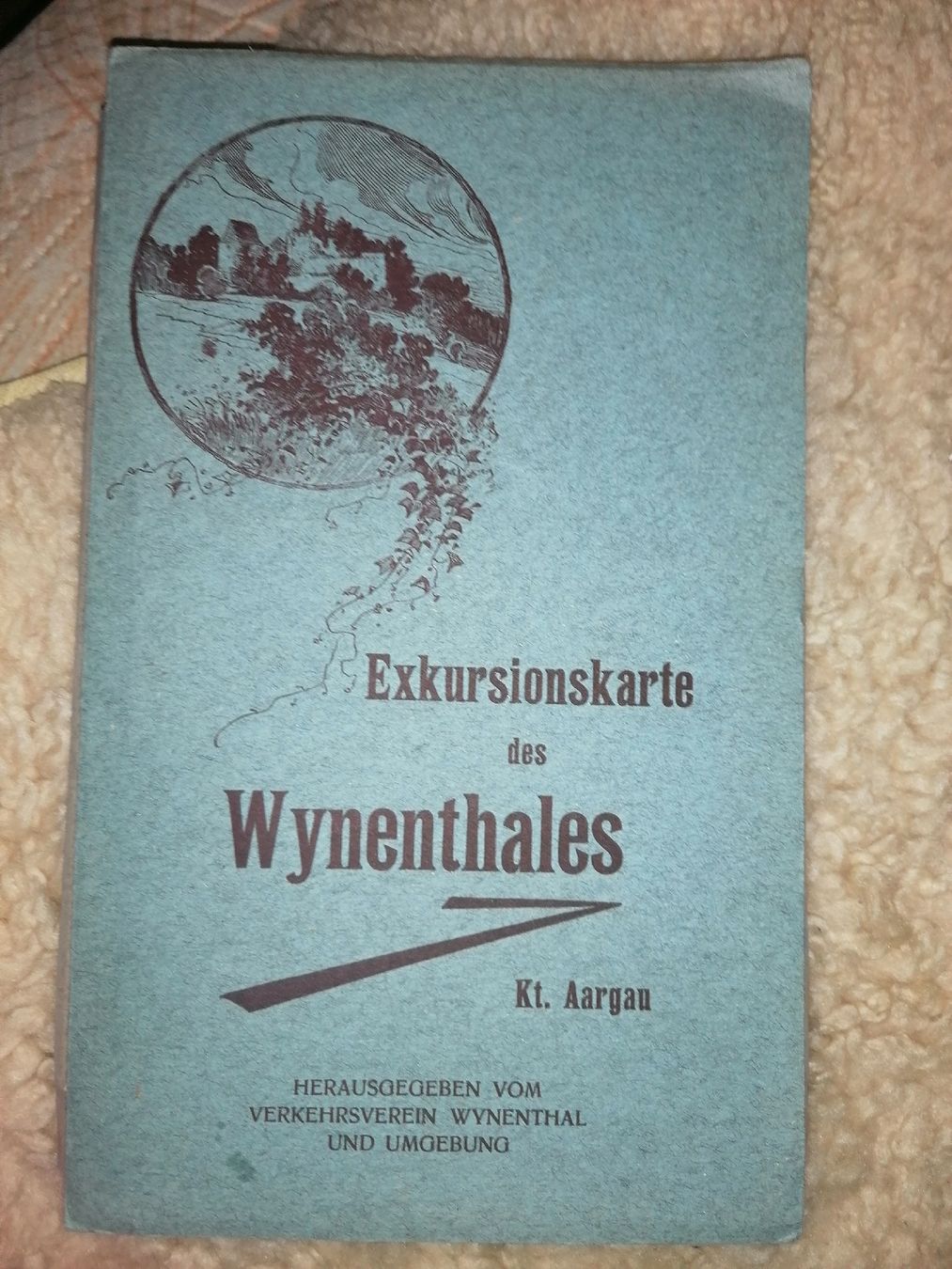 Cartine & Atlanti: Alte Exkursionkarte des Wynenthales 1905 – Usato da Hallau venduto da histoiremerveilleuse