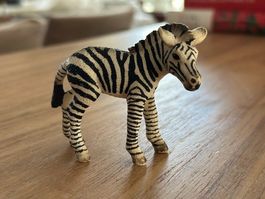 Schleich Zebrafohlen Sammelfigur