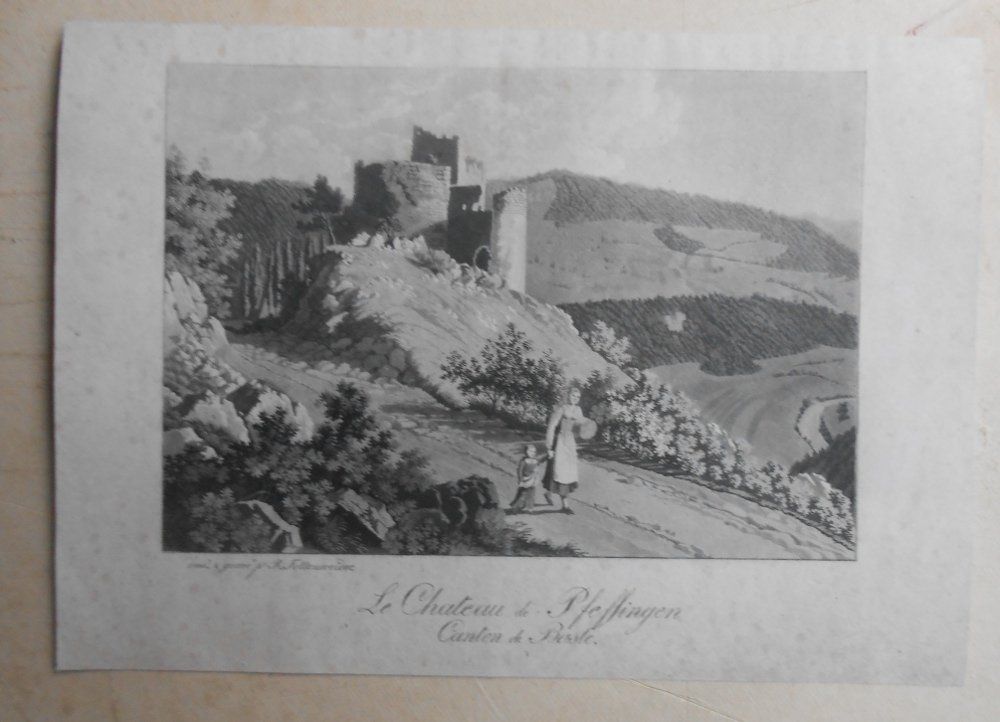 Incisioni: Schloss Pfeffingen. Seltene Ansicht von ca 1840. – Usato da Basel venduto da Domba