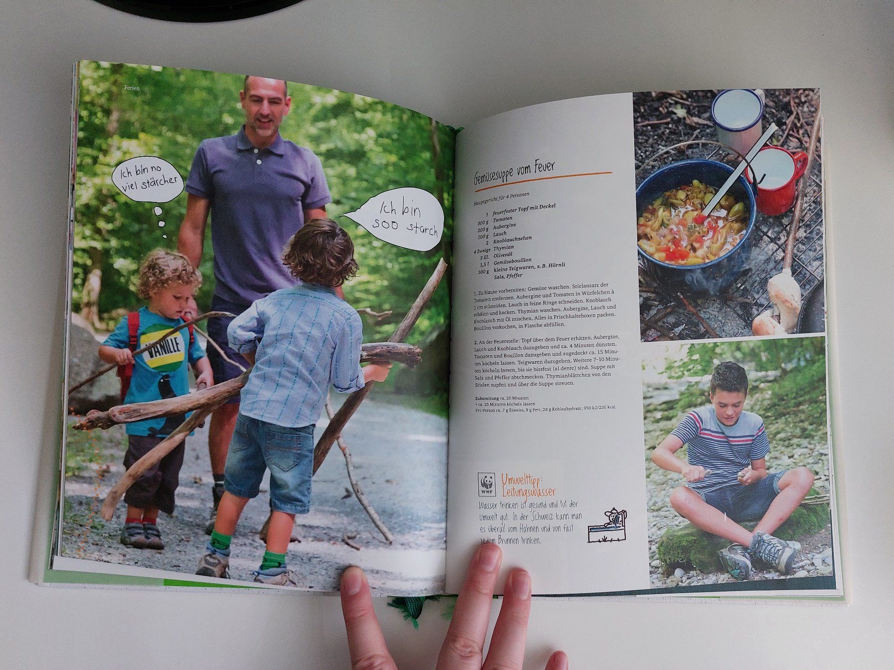 Libri: Green Gourmet – Usato da Biel/Bienne venduto da big_hxr7 2