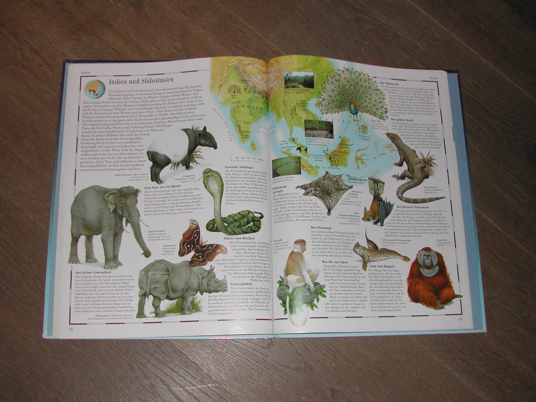 Libri: Bild Atlas der Tierwelt – Usato da Trun venduto da Romi066 6