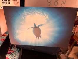 Leinwandbild Schildkröte Unterwasser blau guter Zustand