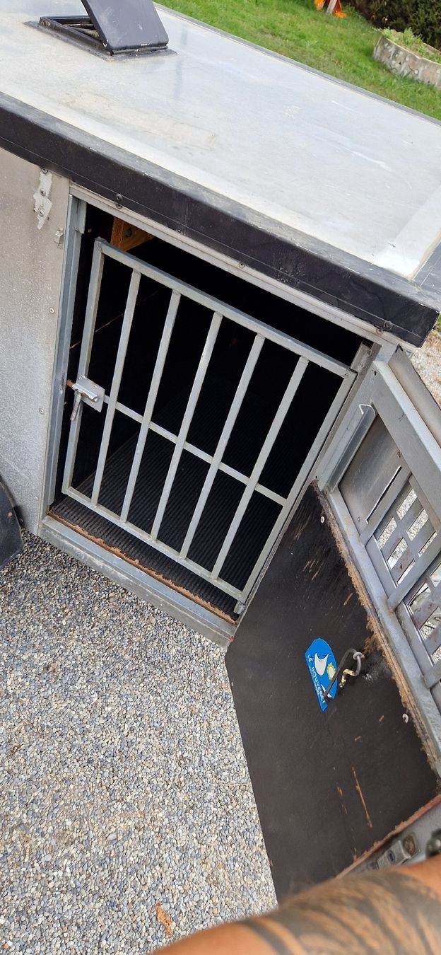 Rimorchi: REMORQUE TRANSPORT POUR 3 CHIENS – Usato da St. Ursen venduto da cpi23 4
