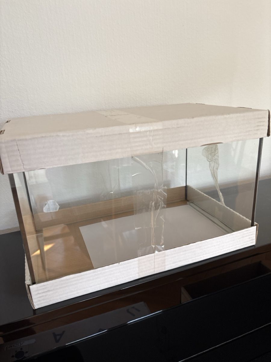 Terrariums: Glas-Terrarium – Neuf (Voir description) à Zürich par flaverrrr