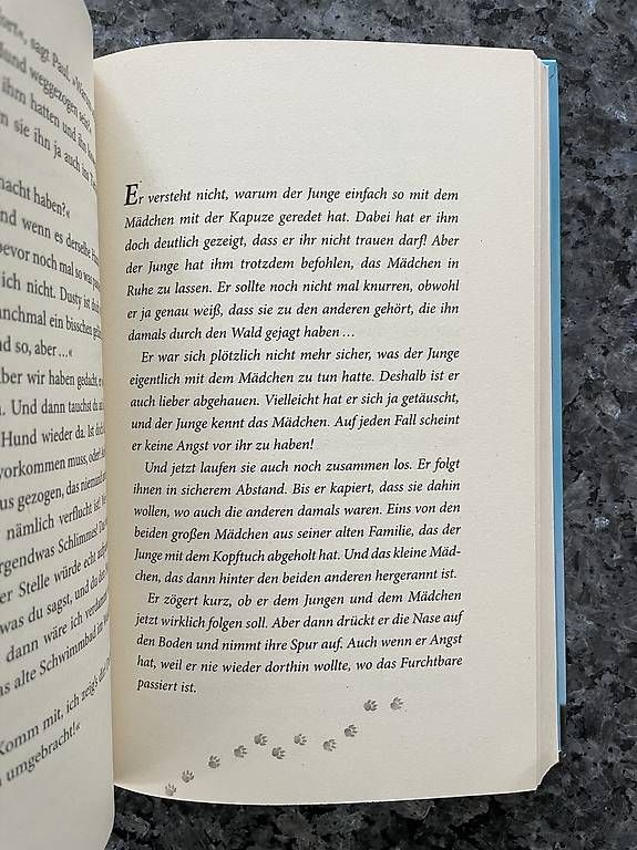 Libri: Kinder-/Jugendbuch DUSTY Freunde fürs Leben – Usato da Möriken AG venduto da nipamijule 1