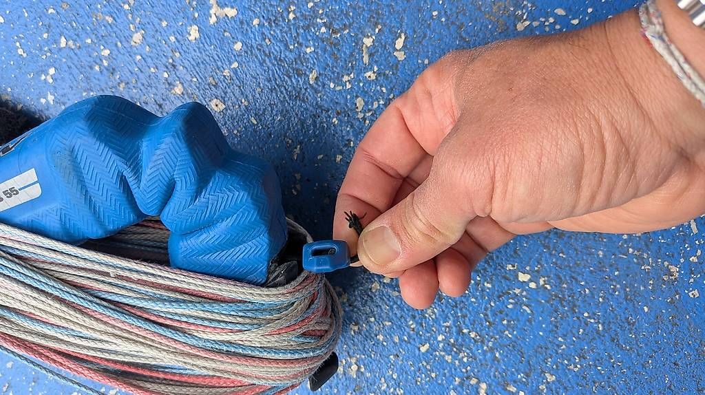 Naish Aquilone: Naish Torque ATB 55 Control System  2021 bon état – Usato da La Neuveville venduto da capitanharuloku 4