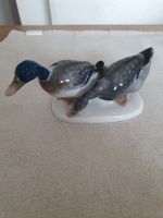Rosenthal Germany, seltene Entenfigur, Top Zustand! (54)