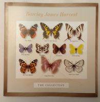 Barclay James Harvest - The Collection / CD ab Fr. 2.-