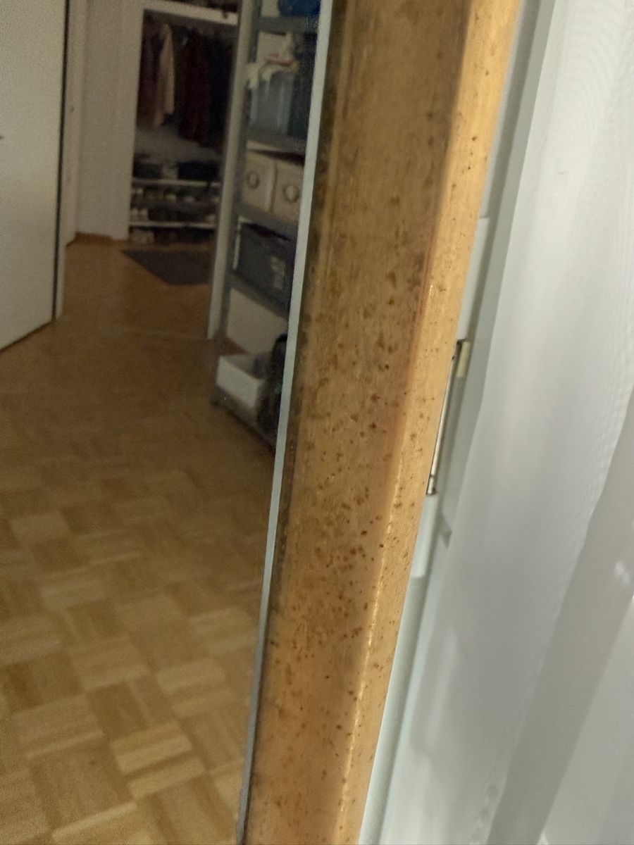 Spiegel: Standspiegel goldfarben 160 cm – Gebraucht aus Liestal von Olivia_W 3