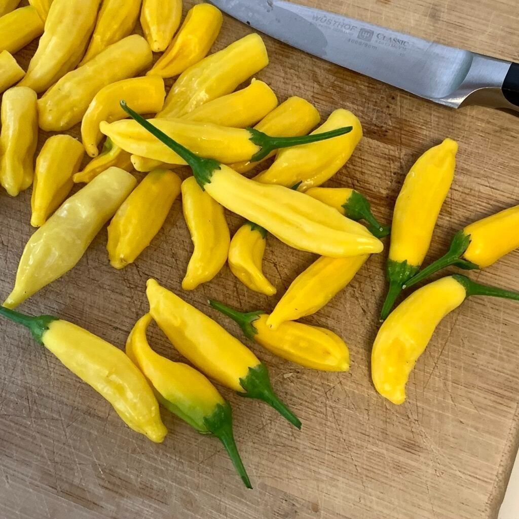 Piante & sementi: 30 Samen LEMON DROP Chili – Nuovo (secondo la descrizione) da Ehrendingen venduto da VerveinaSamen 3