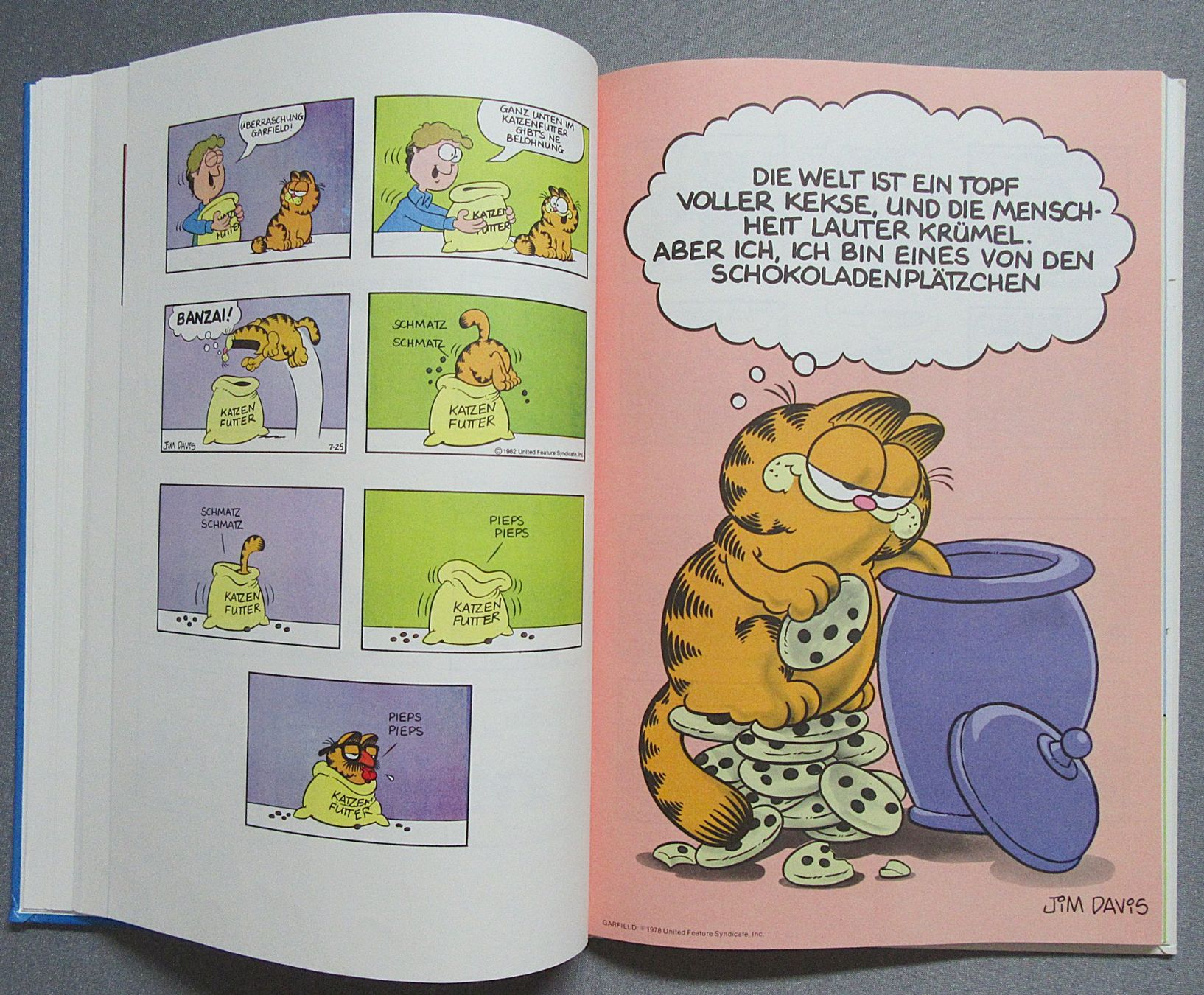 Fumetti: Die Garfield Revue - von Jim Davis – Usato da Auenstein venduto da Padabimbim 7