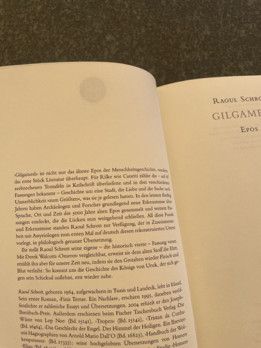 Libri: Gilgamesh, Raoul Schrott – Usato da Freidorf TG venduto da ibipatria 2