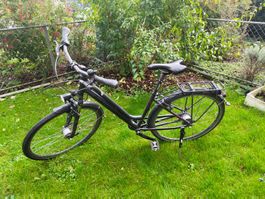 Bergamont Damenfahrrad