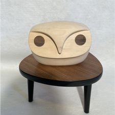 Profile image of the_modern_mini