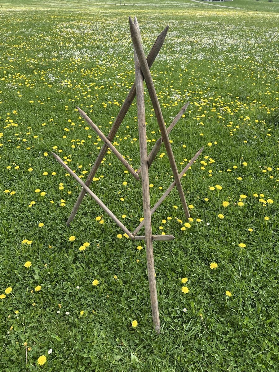 Altro in Utensili da giardino: Heinze – Usato da Schwende venduto da weesli 1