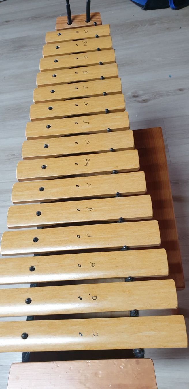 Strumenti musicali: Xylophon Sonor – Usato da Hünenberg venduto da Gelini9 4