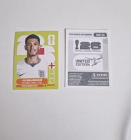 Panini Sticker ENG11
