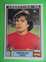 Argentina World Cup 1978" Marcelino Perez /España " 208