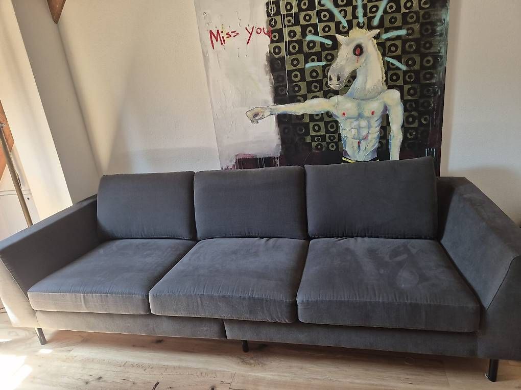 Sofas: Sofa - Verkauf aus Platzgründen – D'occasion à Rickenbach SO par yab86