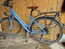 City/Trekkingbike Edelweiss 28''