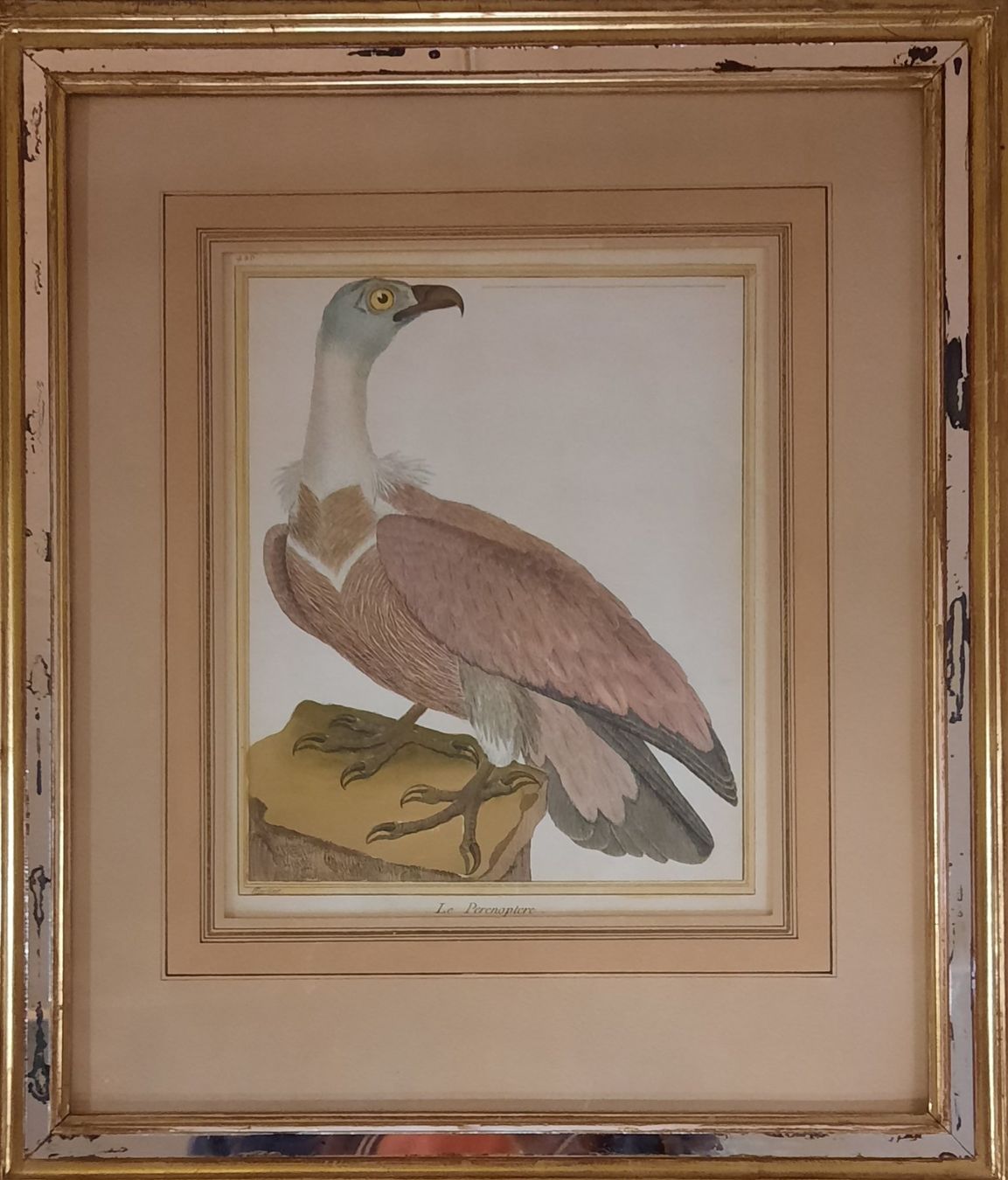 Dipinti: FRANCOIS NICOLAS MARTINET 1725- 1804 – Usato da Genève venduto da Enigme8