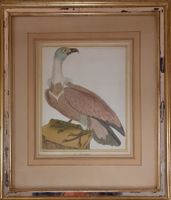 FRANCOIS NICOLAS MARTINET 1725- 1804