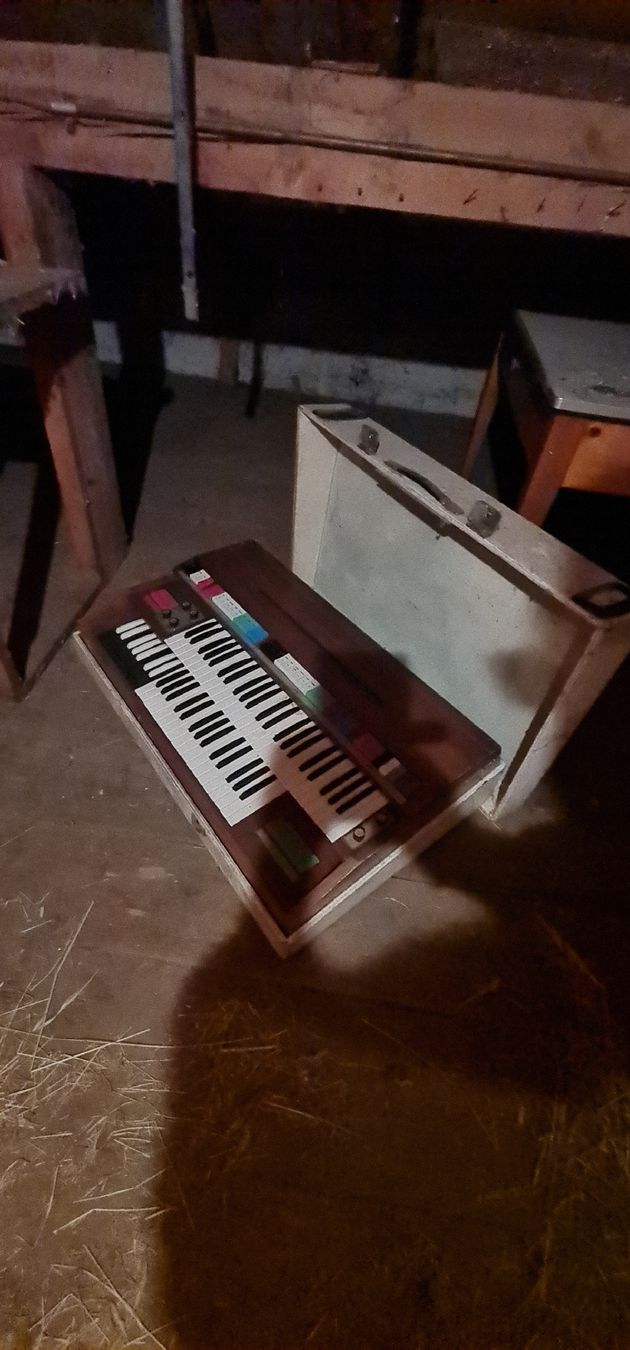 Strumenti musicali: Alte GEM Orgel aus den 60' – Difettoso da Campocologno venduto da Arte2108 2