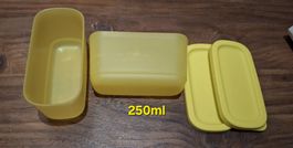 Gelbe Tupperware, perfekt für den Sommer Picknick!