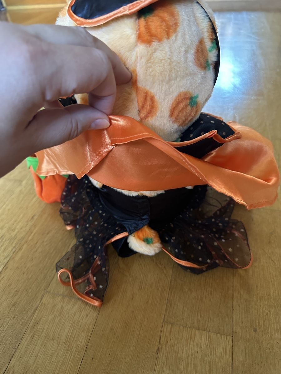 Giocattoli: Teddy Halloween selten top – Usato da Bern venduto da Ruhrallee 2