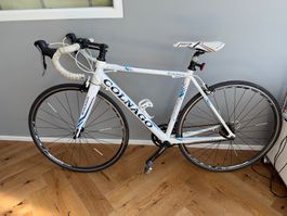 Rennvelo Colnago Move weiss Aluminiumrahmen