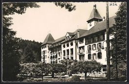 Interlaken, Polytechnic Chalets mit Anla