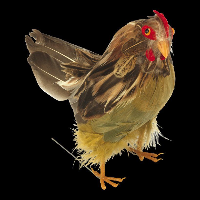 Monde des animaux: Feder Henne Tier, Ostern 🐣 Dekoration – Neuf avec emballage d'origine à Emmen par codici