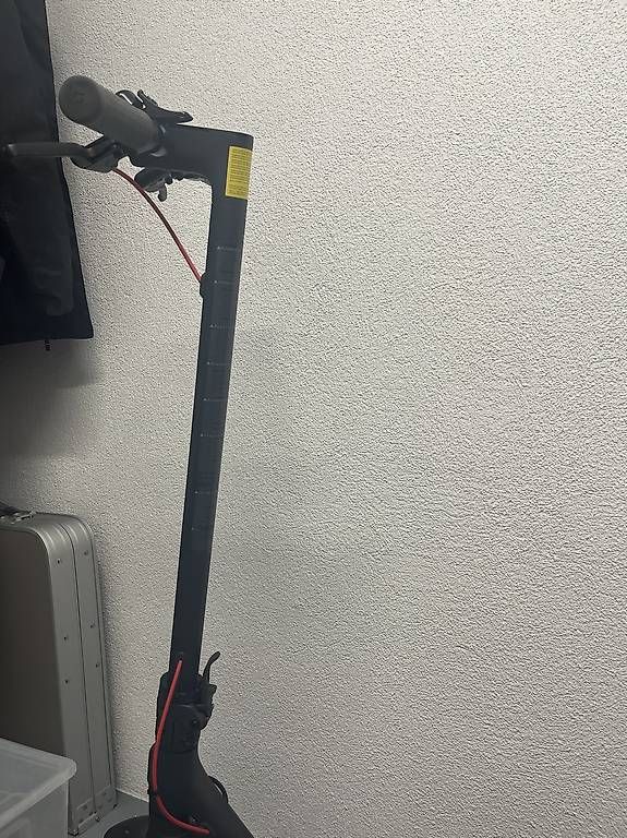 Scooter: E-Scooter – Usato da Oberwil-Lieli venduto da Pumperniggel87 1